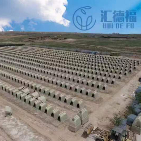 犊牛岛图片2