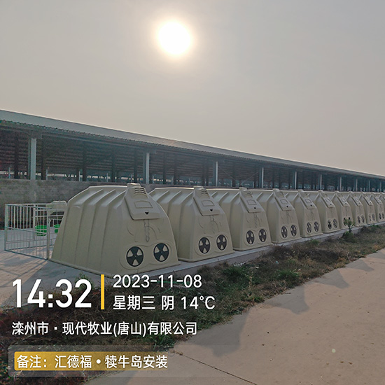 工程案例图片3
